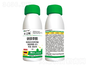 40%���ǲ�ͪ-�f(w��n)֮��-�f(w��n)��