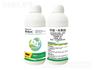 40%�S�ס����ݰ�-�؂���-�f(w��n)��