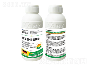 25%�f��ͪ�����f����-�����-�f(w��n)��