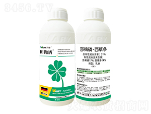 31%ɯ���ס����݃�-���-�f(w��n)��