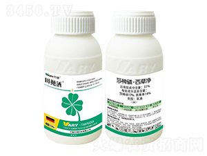 31%ɯ���ס����݃�250��-���-�f(w��n)��