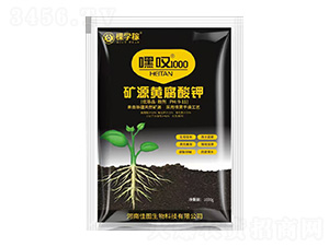 �VԴ�S�����-�ه@1000-�ÌW(xu��)��