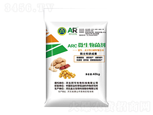 ARC΢�������-��������