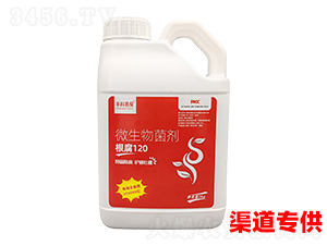 ����120΢�������-�S���ױ�-�۟o��