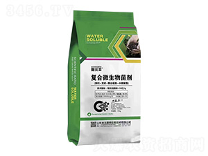 �۹Ȱ����͏�(f��)��΢�������-�����S-��������