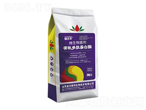 ΢�������-�ЙC���ĵ���ø-�����S-��������