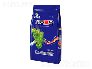 �f��Ҽ̖-С���N��-�f��(d��n)�Z