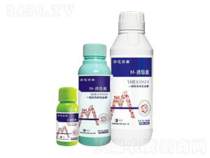 M-�T����-�໨���-����֮�G