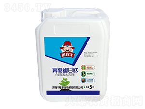 ���ǵ�����-����S-�r(n��ng)�ژ�