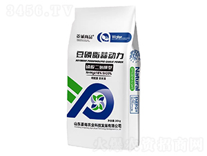 豆磷脂蒜動(dòng)力-姜誠尚品-姜尚農(nóng)業(yè)