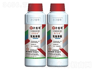 ˮ������݄������������-�`��ʡ����+�n���-�n�ѻ��W(xu��)