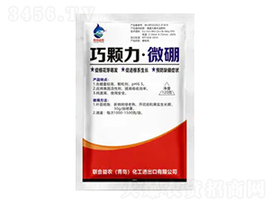 ���w����΢��-(li��n)�����r(n��ng)