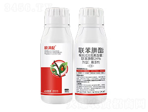 24%(li��n)������-���M��-���ׁ�