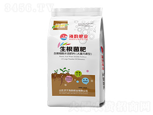 ����Ԫ���ͺ���ֲ����������-ԣ�w-�������