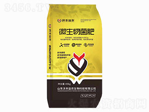 ΢�������-�︣Ԫ