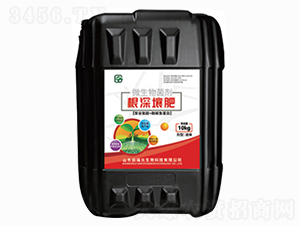 ��������΢�������-�����+�۹Ȱ���+ø���~����-�︣Ԫ