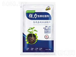 �����������焩-��˹��