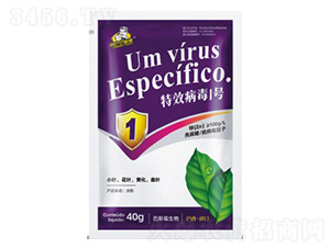 病毒1號-巴斯福