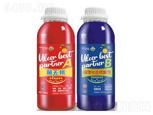 A+B������n-�۶�����