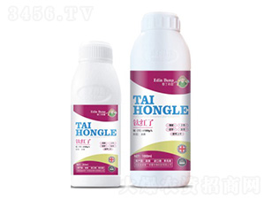 ⁼t��-�۶�����