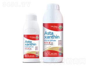 �r�t��-�۶�����