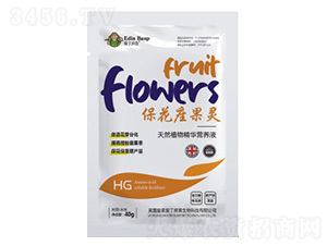 ���������`-�۶�����