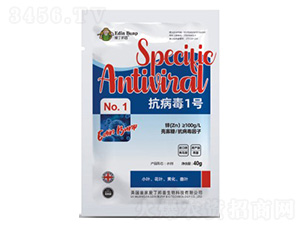 ������1̖(h��o)-�۶�����