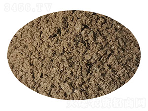 ��V���|(zh��)-�����}-���^����