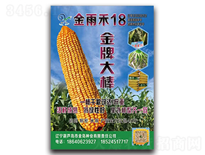 金雨禾18（金牌大棒）-玉米種子-中科正高