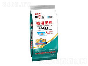 �������20-20-5-��ꖜ�-�G���ʘI(y��)