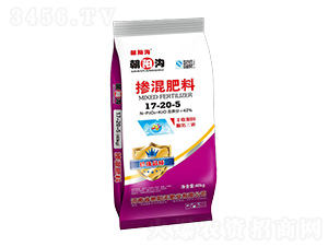 �������17-20-5-��ꖜ�-�G���ʘI(y��)