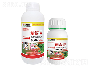 �ۺ��-��������