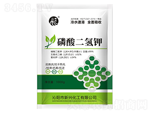 ��������-���d����