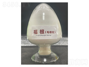 ����(ë����)-��������