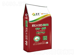 �w��ˮ�ܷ�-�۹�����-ǧ�S����ȸ-ǧ�S�r(n��ng)�I(y��)