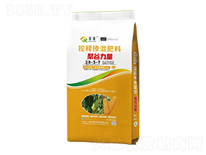 玉米專(zhuān)用控釋摻混肥料28-5-7-聚谷力量-千豐農(nóng)業(yè)