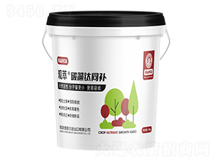 碳藻鈦同補-觀萃-圣伯生物