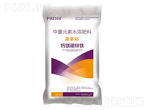 ������}�V���\�F