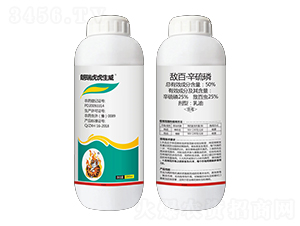 50%���١�������-���𻢻�����-��������