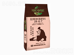 ��ጓ������29-6-7-�_����ˎ��-����˹�ʘI(y��)