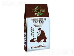 ������Ϳ�ጓ������28-10-12-�_����ˎ��-����˹�ʘI(y��)