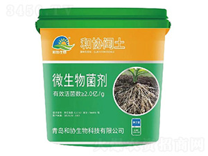 ΢�������-�ͅf(xi��)�c��-�ͅf(xi��)����