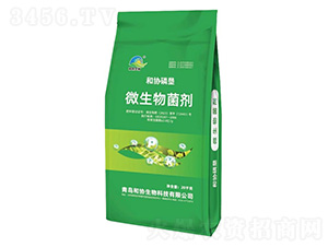 微生物菌劑-和協(xié)磷墾-和協(xié)生物