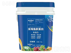 ��~�ĵ��ף��~���ף�-�˰ſ�-�����S