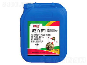 42%���ٮ�����Һ��-�ƾ�-�֠���(y��u)