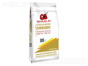 ��ጓ������24-14-16-�ž��tţ