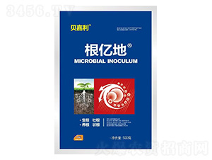 ���|��-ؐ����