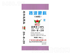 �������20-8-20-�����_�ʘI(y��)