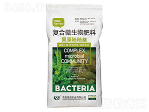 ��(f��)��΢�������-�������-껳Ɍ�(sh��)�I(y��)