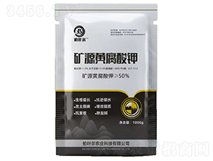 �VԴ�S�����-���~��